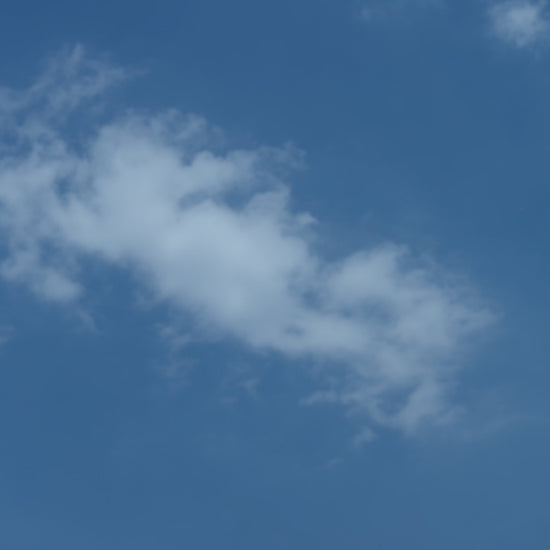 Mochila escolar Zoy Zoii modelo OpenCampus en color azul marino con detalles rojos y diseño clásico ideal para niños de primaria, cómoda y resistente para uso diario en la escuela