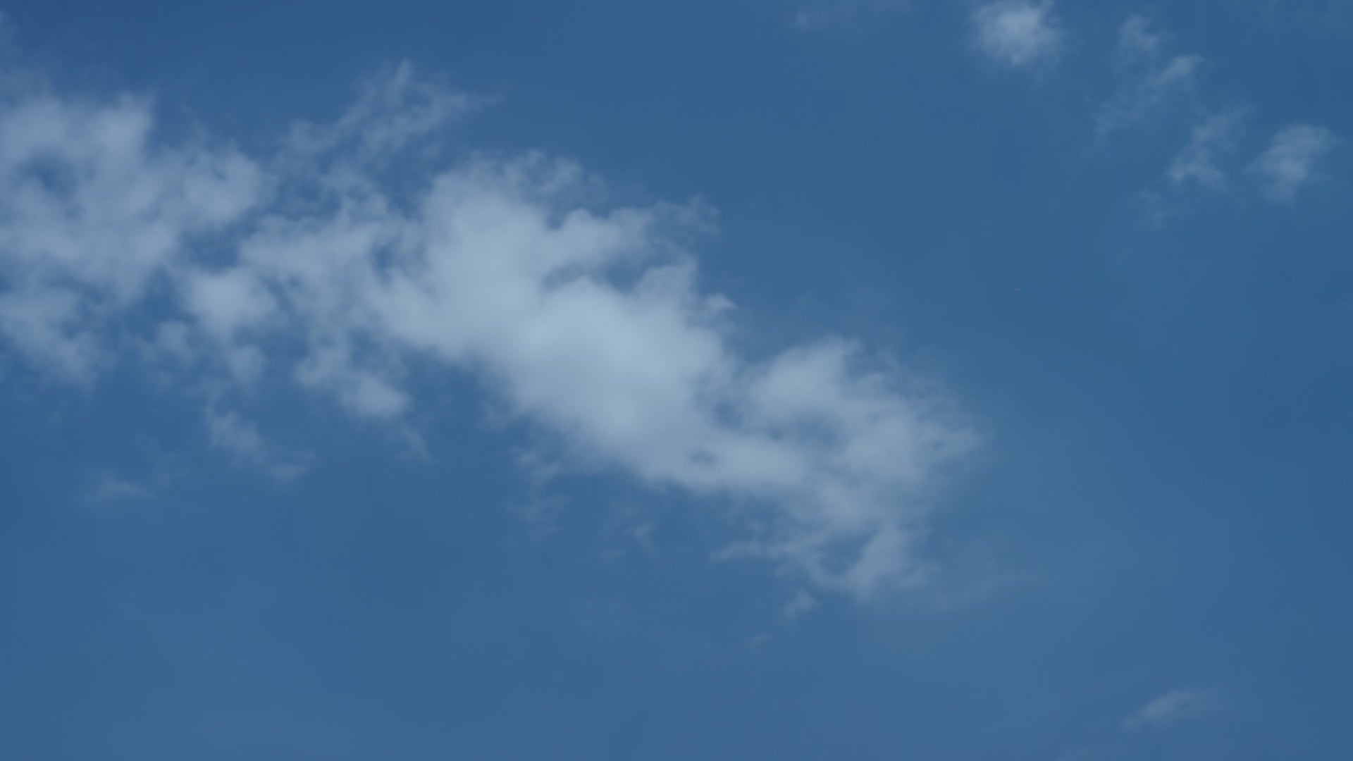 Mochila escolar Zoy Zoii modelo OpenCampus en color azul marino con detalles rojos y diseño clásico ideal para niños de primaria, cómoda y resistente para uso diario en la escuela