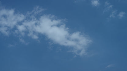 Mochila escolar Zoy Zoii modelo OpenCampus en color azul marino con detalles rojos y diseño clásico ideal para niños de primaria, cómoda y resistente para uso diario en la escuela