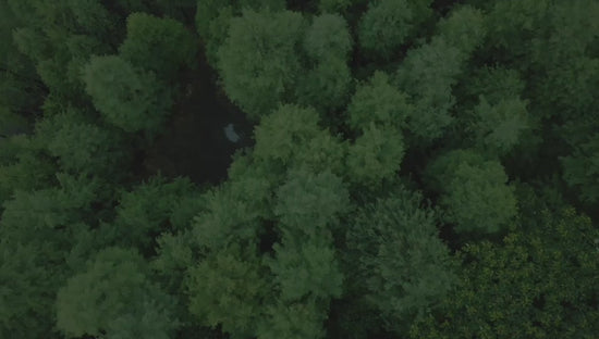 Mochila escolar infantil con diseño de gatito