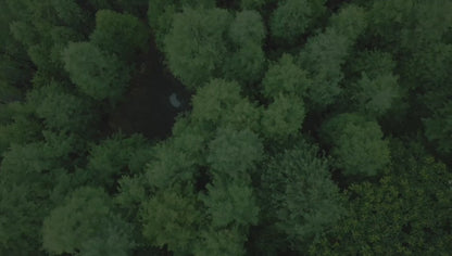 Mochila escolar infantil con diseño de gatito