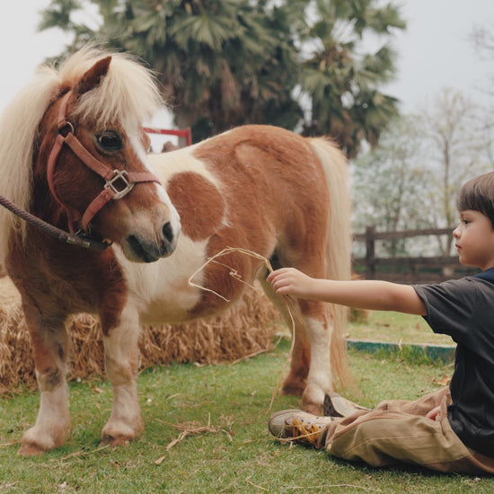 Mochila infantil creativa con forma de piña